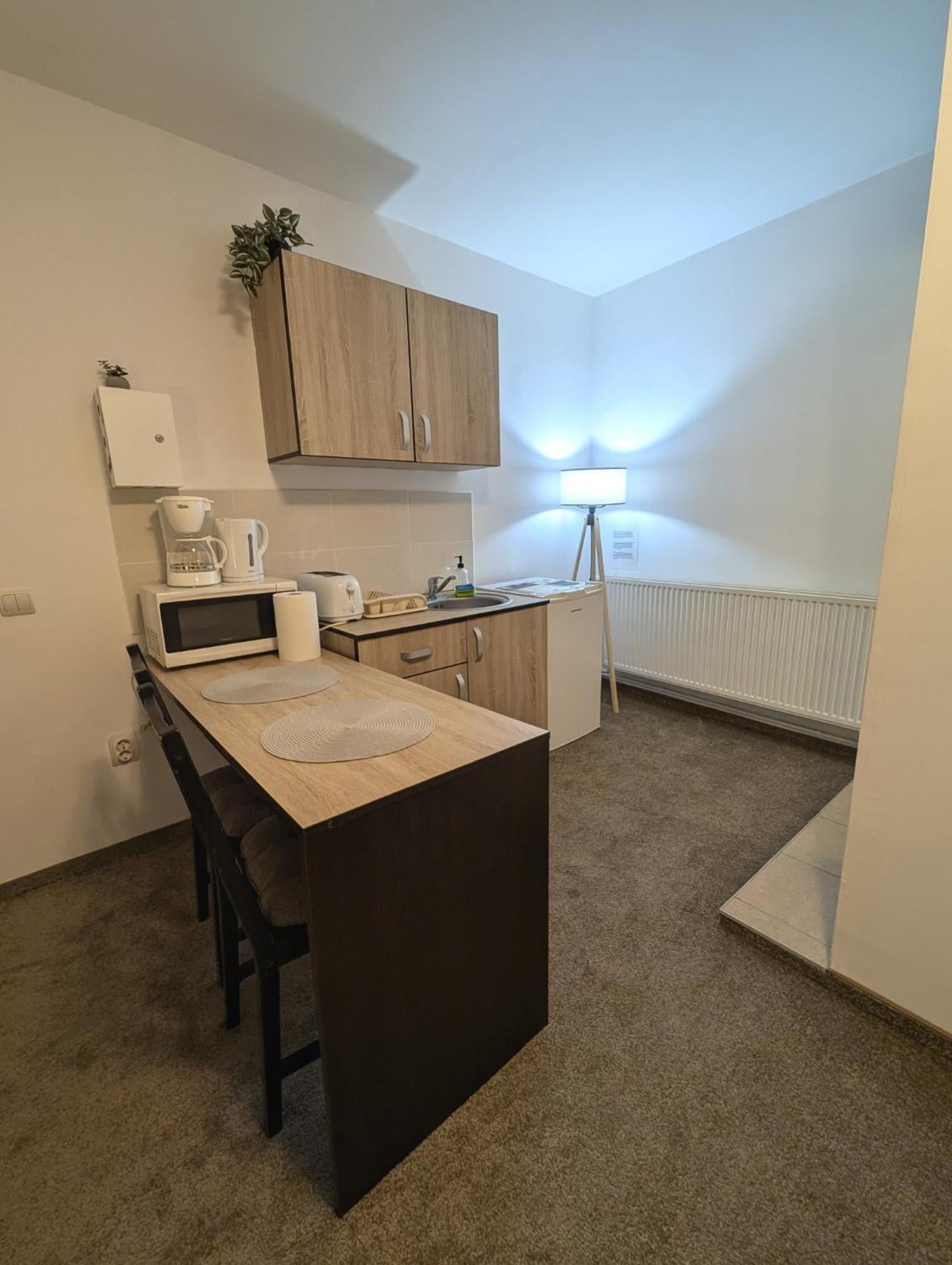 Târgu-Mureş Sandor Central Studio Apartment מראה חיצוני תמונה